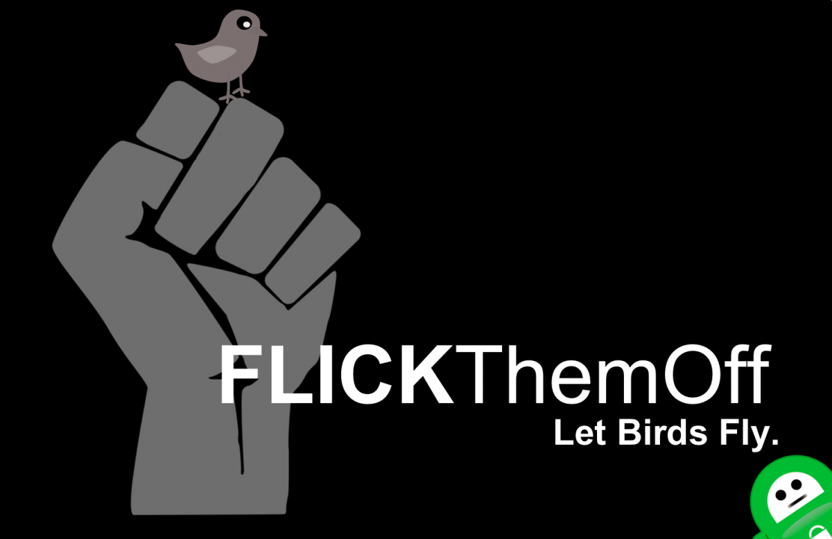 use encryption flickthemoff let birds fly