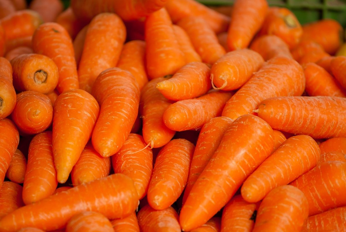 canada carrots