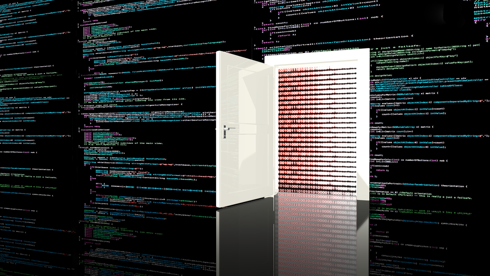 Image depicting a software backdoor