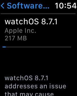 smartwatch software update menu 