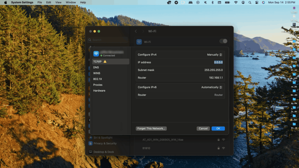 Adding the new IP address on macOS.
