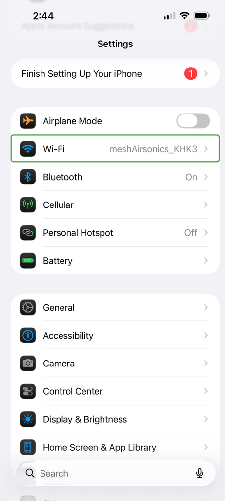 The iOS settings menu.