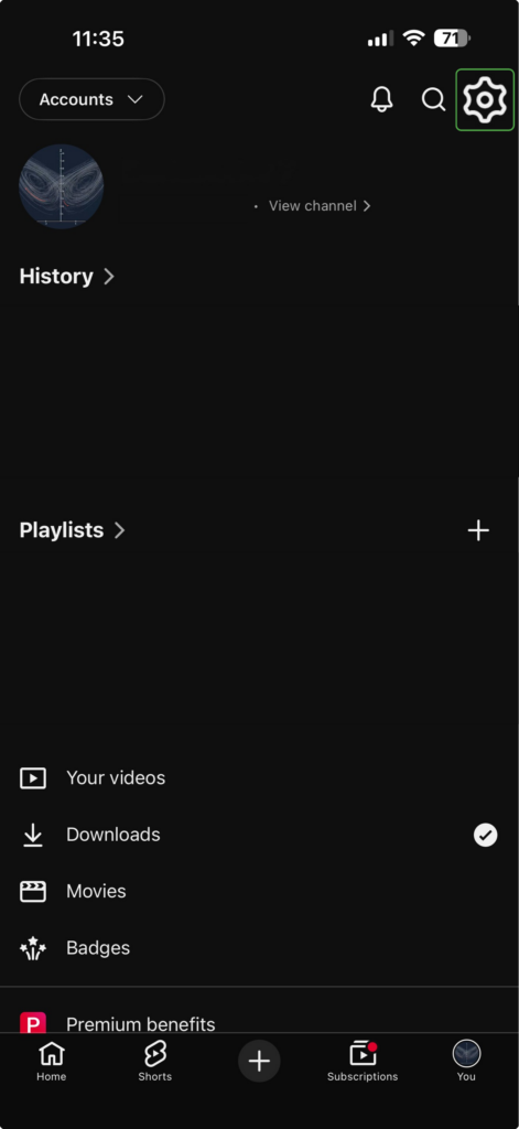 YouTube app settings on iOS.