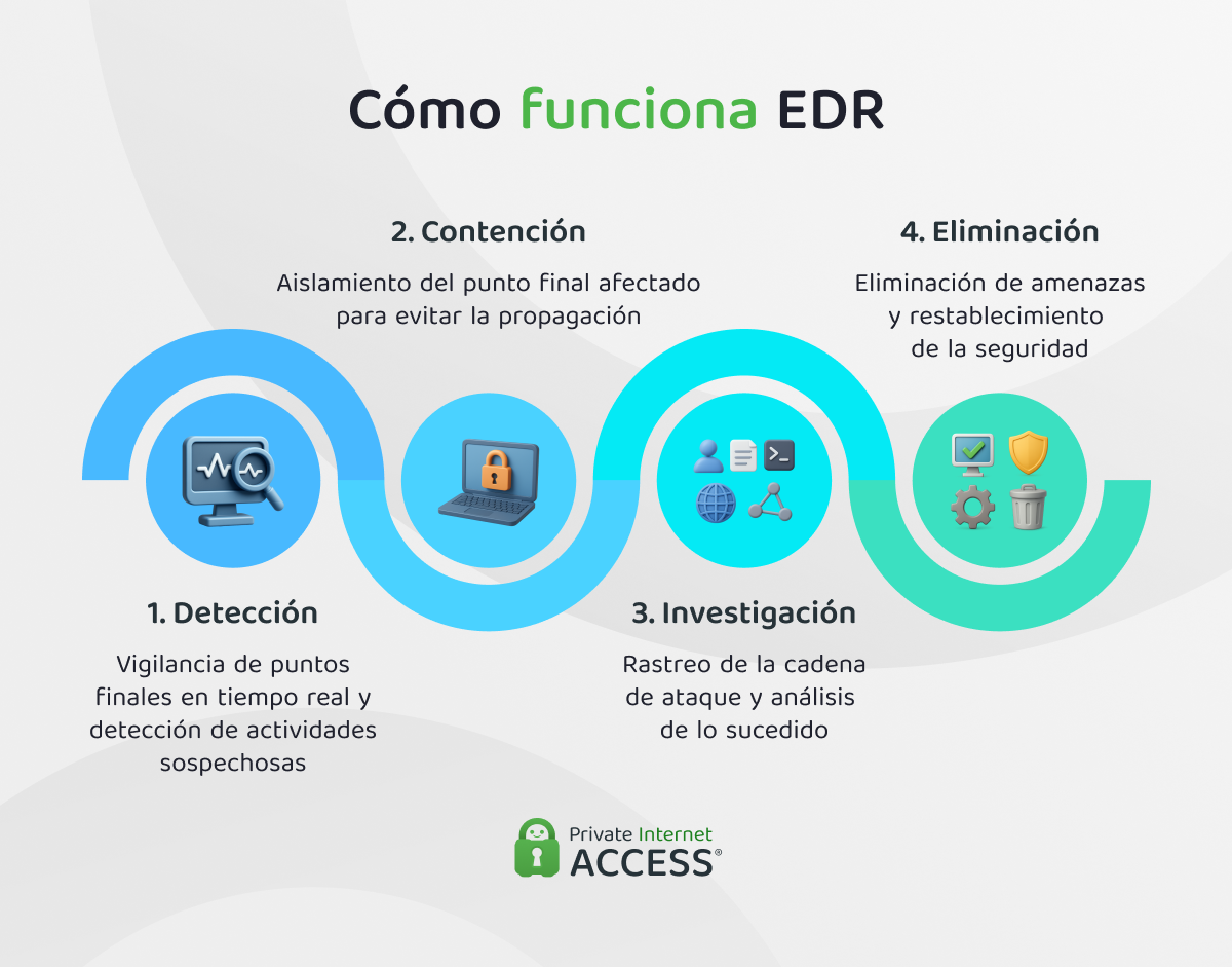 Infografía que muestra las cuatro etapas de EDR: detección, contención, investigación y eliminación.