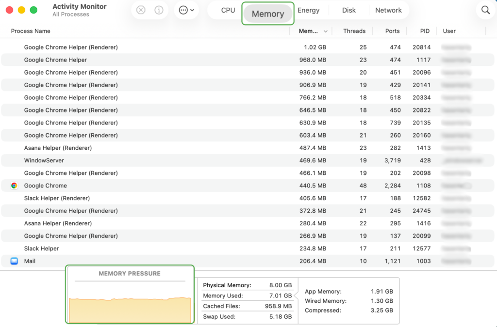Activity Monitor open on a Mac.