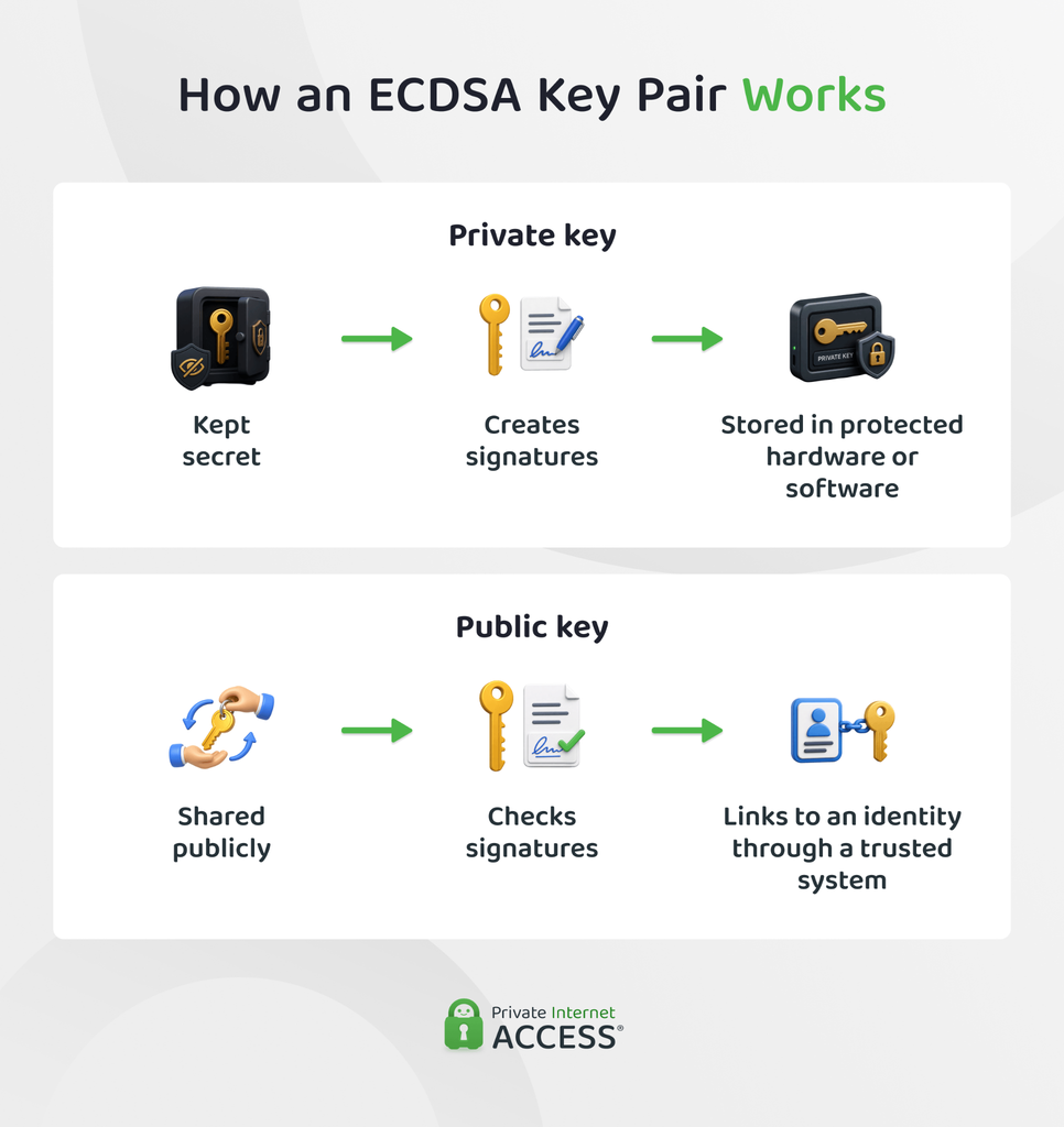 How an ECDSA private key creates signatures while the public key verifies them.